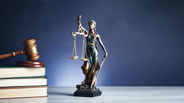Jak wygląda zawód adwokata i prawnika?