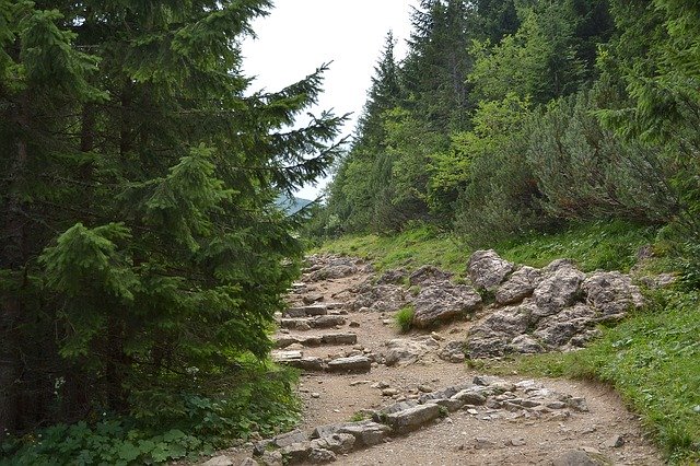 Zakopane - wprowadź się do twojego górskiego mieszkania marzeń